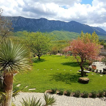 Wine Cellar Room Vipava Zewnętrze zdjęcie